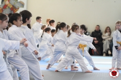 2026-STAGEENFANTS-FEVRIER-39