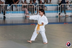 COUPE-JEUNE-SAMOURAI-2026-FAMYK-2