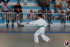 COUPE-JEUNE-SAMOURAI-2026-FAMYK-24