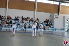 COUPE-JEUNE-SAMOURAI-2026-FAMYK-41