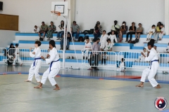 COUPE-JEUNE-SAMOURAI-2026-FAMYK-44