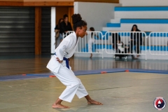 COUPE-JEUNE-SAMOURAI-2026-FAMYK-69