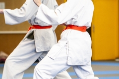 241207-YAMATOKAN-ADULTES-131