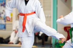 241207-YAMATOKAN-ADULTES-150