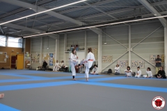 241207-YAMATOKAN-ADULTES-190
