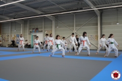 241207-YAMATOKAN-ADULTES-191