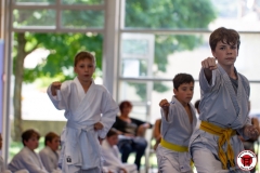 STAGE-ENFANTS-ET-BABY-KARATE-18MAI2025-115