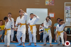 STAGE-ENFANTS-ET-BABY-KARATE-18MAI2025-118