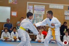 STAGE-ENFANTS-ET-BABY-KARATE-18MAI2025-120