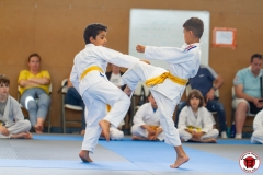 STAGE-ENFANTS-ET-BABY-KARATE-18MAI2025-121