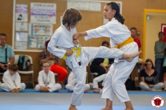 STAGE-ENFANTS-ET-BABY-KARATE-18MAI2025-123