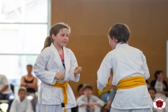 STAGE-ENFANTS-ET-BABY-KARATE-18MAI2025-124