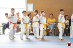 STAGE-ENFANTS-ET-BABY-KARATE-18MAI2025-127