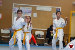 STAGE-ENFANTS-ET-BABY-KARATE-18MAI2025-128
