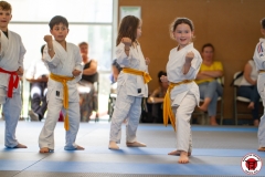 STAGE-ENFANTS-ET-BABY-KARATE-18MAI2025-129