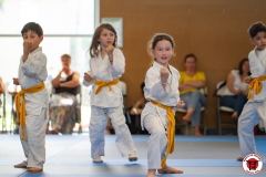 STAGE-ENFANTS-ET-BABY-KARATE-18MAI2025-130