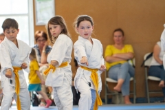 STAGE-ENFANTS-ET-BABY-KARATE-18MAI2025-131