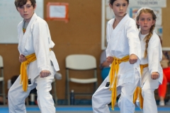 STAGE-ENFANTS-ET-BABY-KARATE-18MAI2025-132