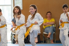 STAGE-ENFANTS-ET-BABY-KARATE-18MAI2025-133