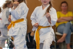 STAGE-ENFANTS-ET-BABY-KARATE-18MAI2025-134