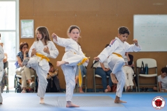 STAGE-ENFANTS-ET-BABY-KARATE-18MAI2025-135