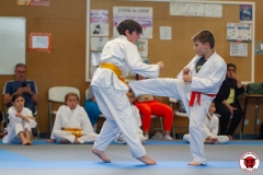 STAGE-ENFANTS-ET-BABY-KARATE-18MAI2025-138
