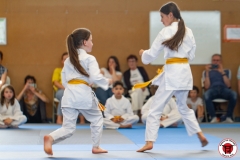 STAGE-ENFANTS-ET-BABY-KARATE-18MAI2025-139