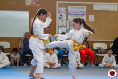 STAGE-ENFANTS-ET-BABY-KARATE-18MAI2025-141