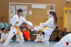 STAGE-ENFANTS-ET-BABY-KARATE-18MAI2025-142