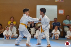 STAGE-ENFANTS-ET-BABY-KARATE-18MAI2025-143