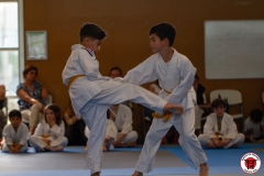 STAGE-ENFANTS-ET-BABY-KARATE-18MAI2025-144