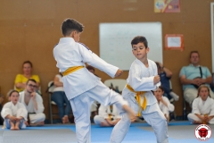 STAGE-ENFANTS-ET-BABY-KARATE-18MAI2025-145