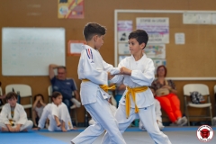 STAGE-ENFANTS-ET-BABY-KARATE-18MAI2025-146