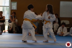STAGE-ENFANTS-ET-BABY-KARATE-18MAI2025-149