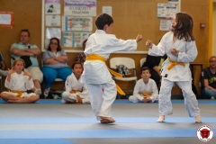STAGE-ENFANTS-ET-BABY-KARATE-18MAI2025-150