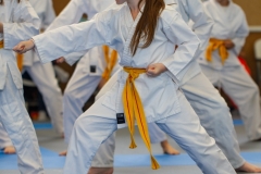 STAGE-ENFANTS-ET-BABY-KARATE-18MAI2025-151