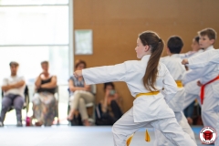 STAGE-ENFANTS-ET-BABY-KARATE-18MAI2025-152