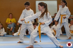 STAGE-ENFANTS-ET-BABY-KARATE-18MAI2025-153