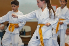 STAGE-ENFANTS-ET-BABY-KARATE-18MAI2025-154