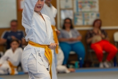STAGE-ENFANTS-ET-BABY-KARATE-18MAI2025-155