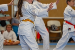 STAGE-ENFANTS-ET-BABY-KARATE-18MAI2025-157