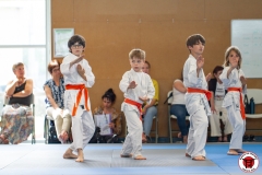 STAGE-ENFANTS-ET-BABY-KARATE-18MAI2025-158