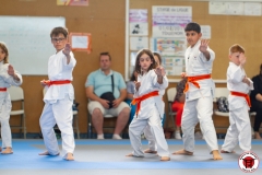 STAGE-ENFANTS-ET-BABY-KARATE-18MAI2025-159