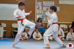 STAGE-ENFANTS-ET-BABY-KARATE-18MAI2025-161