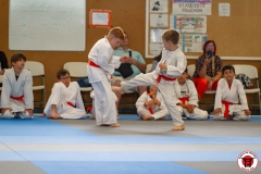 STAGE-ENFANTS-ET-BABY-KARATE-18MAI2025-163