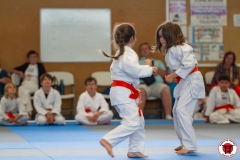 STAGE-ENFANTS-ET-BABY-KARATE-18MAI2025-164