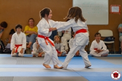 STAGE-ENFANTS-ET-BABY-KARATE-18MAI2025-165