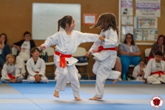 STAGE-ENFANTS-ET-BABY-KARATE-18MAI2025-166