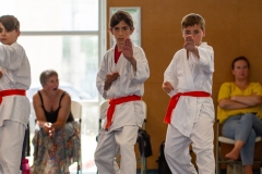 STAGE-ENFANTS-ET-BABY-KARATE-18MAI2025-168