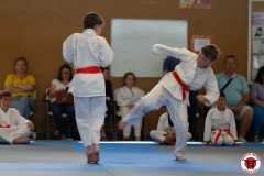 STAGE-ENFANTS-ET-BABY-KARATE-18MAI2025-171